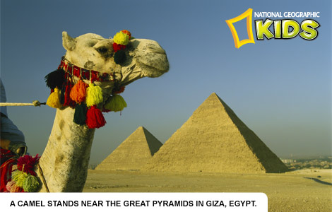 giza-pyramids-976150-ecard
