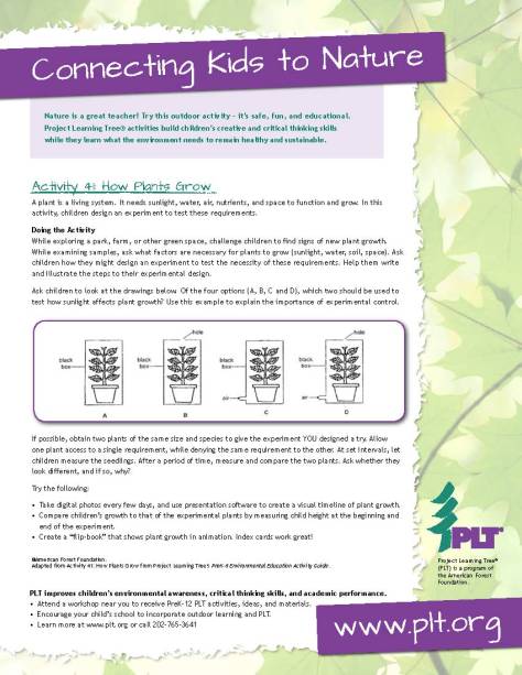 plt_activity_41_how_plants_grow