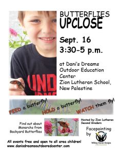 butterflies up close poster