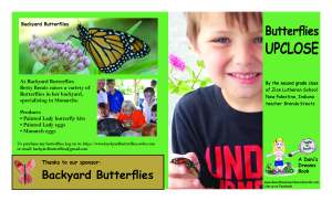 Butterflies upclose cover