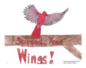 danisdreams 2016second place drawing