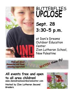 butterflies-up-close-poster